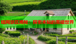 暗网禁区揭秘：探索未知的黑暗世界