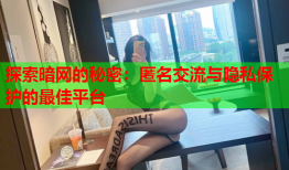 探索暗网的秘密：匿名交流与隐私保护的最佳平台