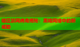 暗区禁网病毒揭秘：黑暗网络中的新威胁