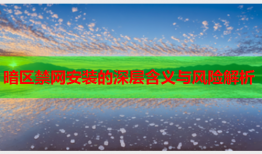暗区禁网安装的深层含义与风险解析