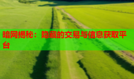 暗网揭秘：隐藏的交易与信息获取平台