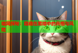 暗网探秘：隐藏在黑暗中的真相与风险