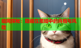 暗网探秘：隐藏在黑暗中的真相与风险