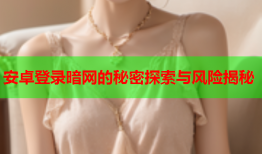 安卓登录暗网的秘密探索与风险揭秘