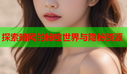 探索暗网的秘密世界与隐秘资源