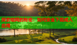 探索暗网的秘密：如何安全下载成人应用