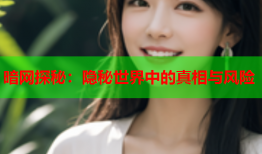 暗网探秘：隐秘世界中的真相与风险