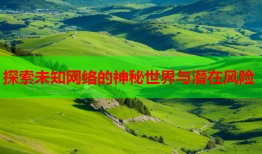 探索未知网络的神秘世界与潜在风险