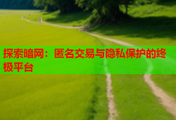 探索暗网：匿名交易与隐私保护的终极平台