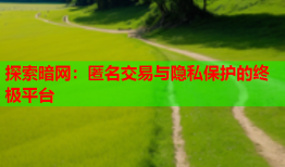 探索暗网：匿名交易与隐私保护的终极平台