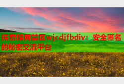 探索暗网禁区wjcdjfbdiv：安全匿名的秘密交流平台