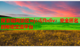 探索暗网禁区wjcdjfbdiv：安全匿名的秘密交流平台