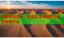 探索暗网禁地：匿名交流与隐秘交易的终极平台