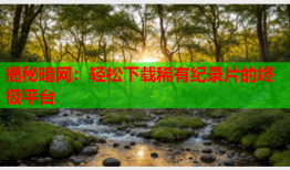 揭秘暗网：轻松下载稀有纪录片的终极平台