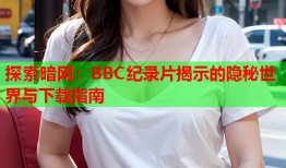 探索暗网：BBC纪录片揭示的隐秘世界与下载指南