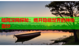暗网深网探秘：揭开隐藏世界的神秘面纱