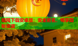 暗网下载安卓版：安全匿名，畅享隐秘资源
