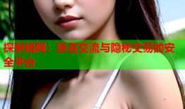 探索暗网：匿名交流与隐秘交易的安全平台