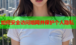 如何安全访问暗网并保护个人隐私