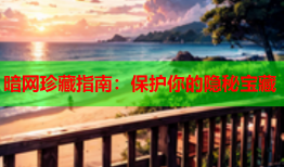 暗网珍藏指南：保护你的隐秘宝藏