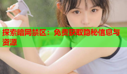 探索暗网禁区：免费获取隐秘信息与资源