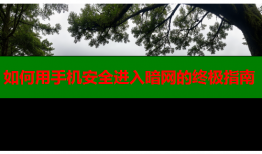 如何用手机安全进入暗网的终极指南