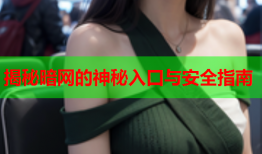 揭秘暗网的神秘入口与安全指南