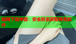 暗网下载神器：安全匿名获取稀有软件