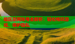 暗区禁网账号全解析：轻松畅玩游戏、保护隐私