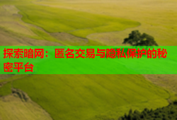 探索暗网：匿名交易与隐私保护的秘密平台