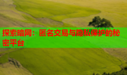 探索暗网：匿名交易与隐私保护的秘密平台