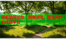探索暗网禁地：安全访问、隐私保护的终极平台