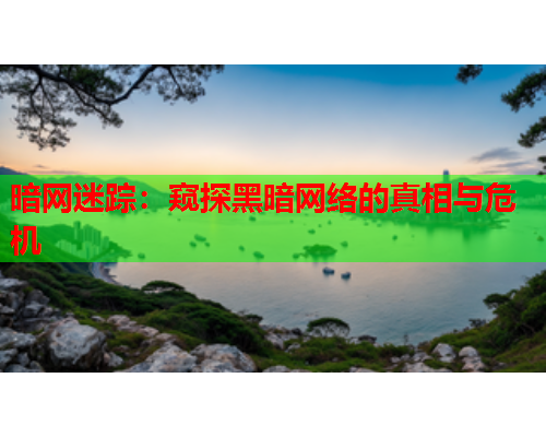 暗网迷踪：窥探黑暗网络的真相与危机