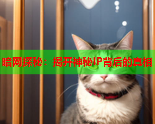 暗网探秘：揭开神秘IP背后的真相