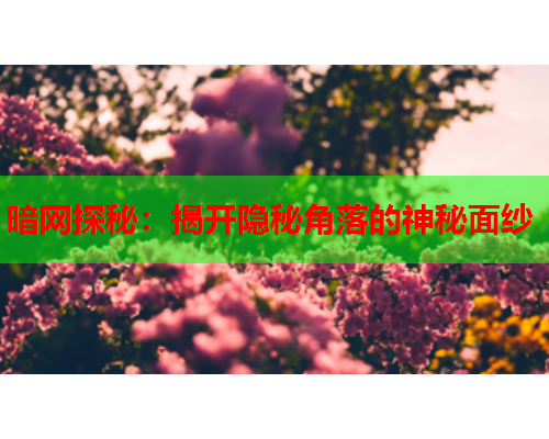 暗网探秘：揭开隐秘角落的神秘面纱