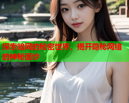 探索暗网的秘密世界，揭开隐秘网络的神秘面纱