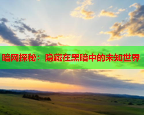暗网探秘：隐藏在黑暗中的未知世界