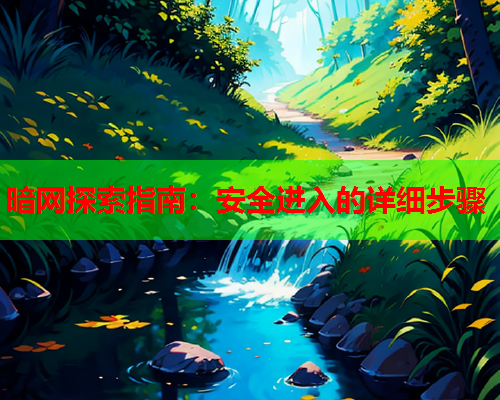 暗网探索指南：安全进入的详细步骤