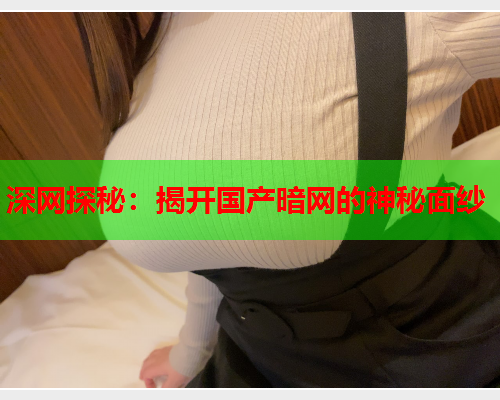 深网探秘：揭开国产暗网的神秘面纱