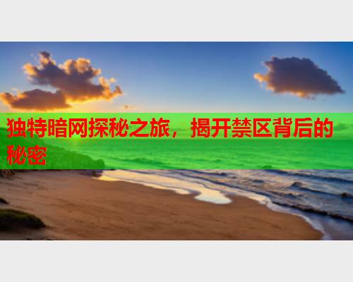 独特暗网探秘之旅，揭开禁区背后的秘密