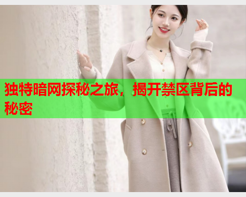 独特暗网探秘之旅，揭开禁区背后的秘密
