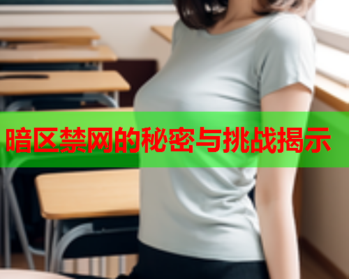 暗区禁网的秘密与挑战揭示