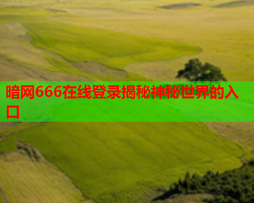 暗网666在线登录揭秘神秘世界的入口