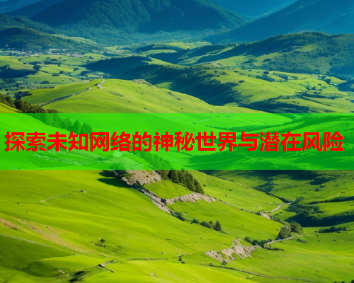 探索未知网络的神秘世界与潜在风险