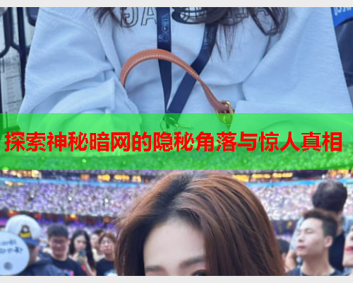 探索神秘暗网的隐秘角落与惊人真相