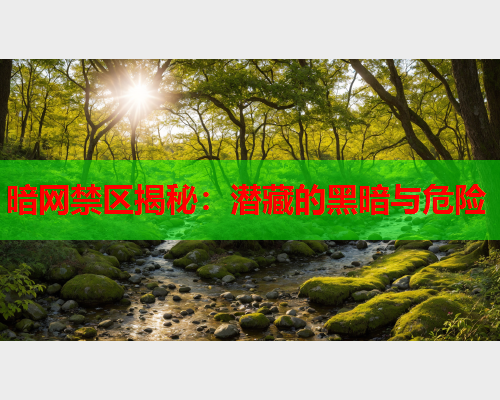 暗网禁区揭秘：潜藏的黑暗与危险