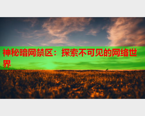 神秘暗网禁区：探索不可见的网络世界