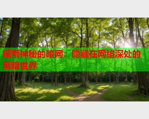 探索神秘的暗网：隐藏在网络深处的黑暗世界