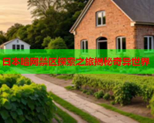 日本暗网禁区探索之旅揭秘奇异世界