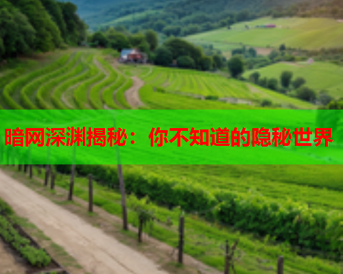暗网深渊揭秘：你不知道的隐秘世界